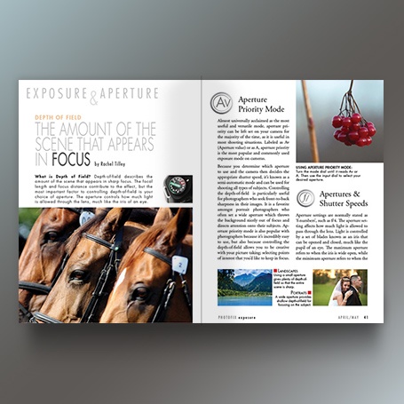 book cover interior design