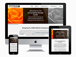 Accessibility Design Guide website